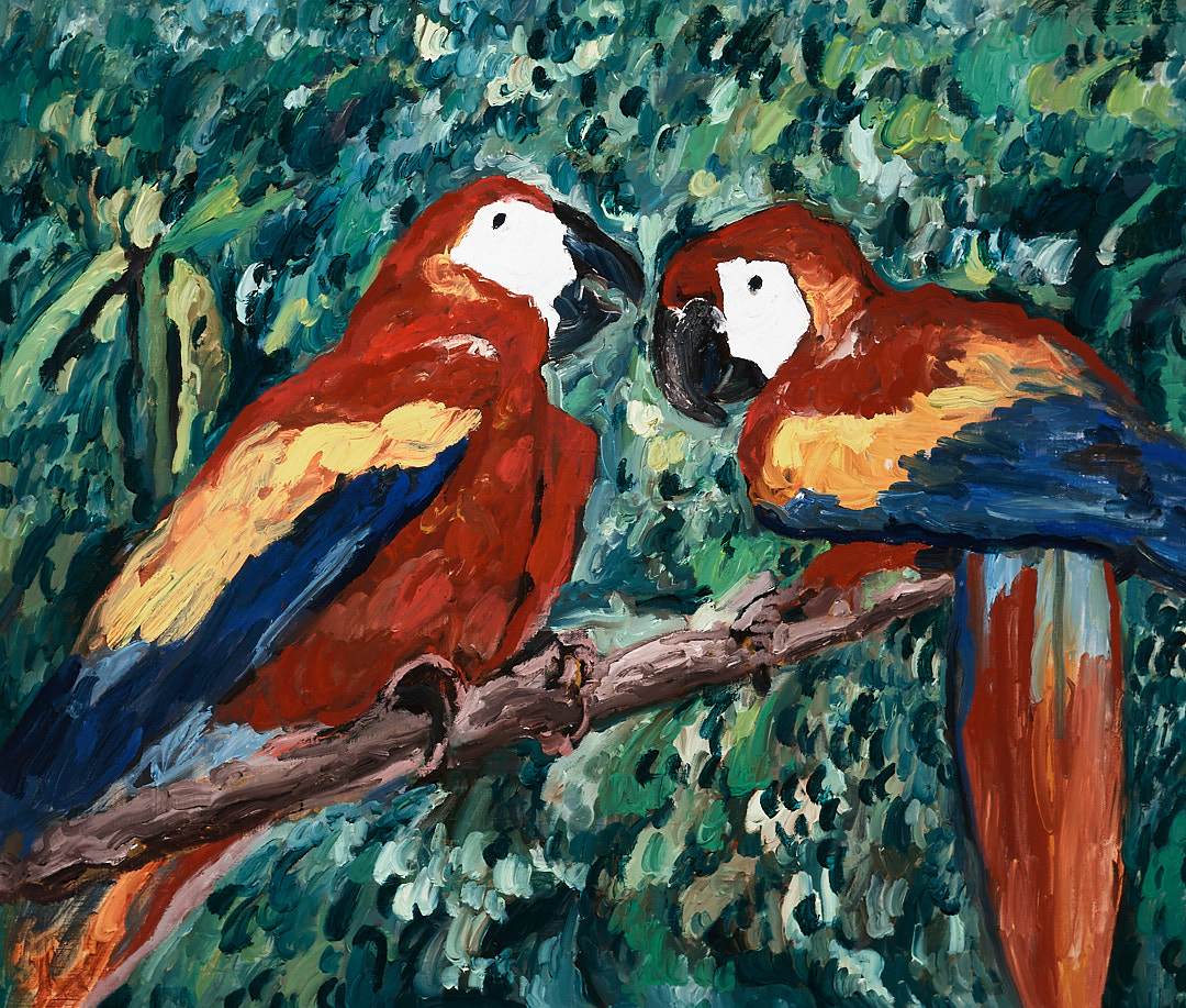 两只鹦鹉-布面油画60x70x3.7cm，¥850